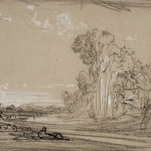 image for: Ramon Martí i Alsina - Una riera (paisatge) - Cap a 1875-1880