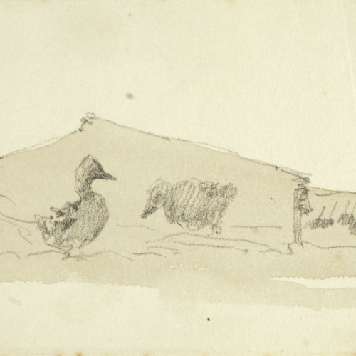 image for: Modest Urgell - Ànecs, porquera i porc - Cap a 1880