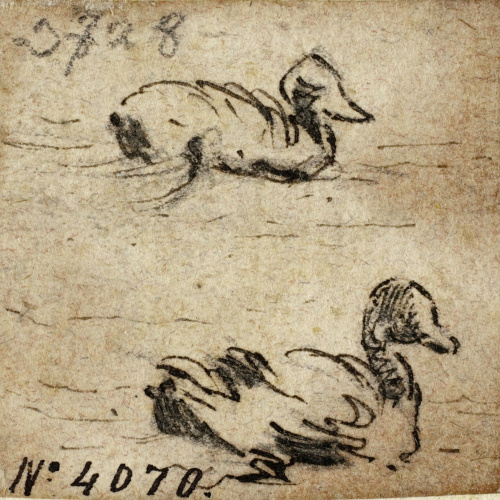 image for: Modest Urgell - Ànecs - Cap a 1864