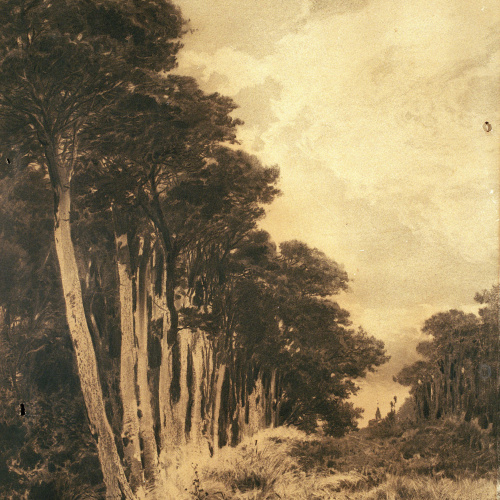 image for: Baldomer Galofre - Paisatge - Cap a 1885