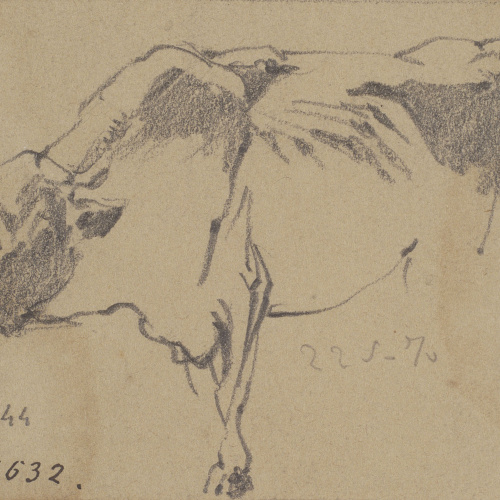 image for: Ramon Martí i Alsina - Apunt d&#039;un bou - 22 de maig de 1870