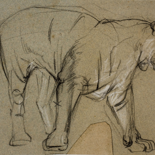 image for: Ramon Martí i Alsina - Una lleona - Cap a 1870-1880