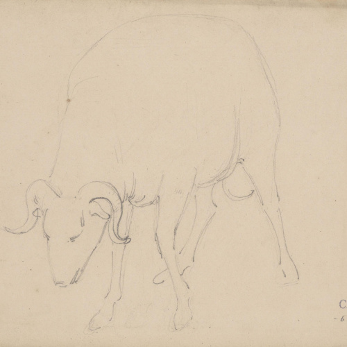 image for: Claudi Lorenzale - Cabra - Cap a 1850-1870