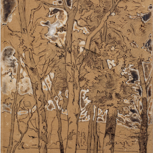 image for: Josep Lluís Pellicer - Vilamajor - 1885