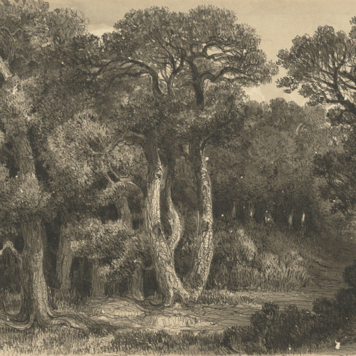 image for: Lluís Rigalt - Paisatge - Cap a 1873-1874