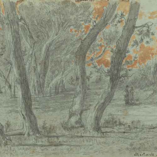 image for: Lluís Rigalt - Martorell - Maig de 1879