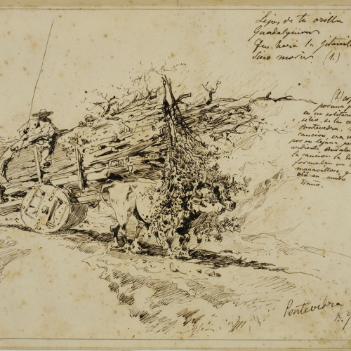 image for: Baldomer Galofre - Pontevedra - Cap a 1887