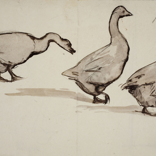 image for: Modest Urgell - Oques - Cap a 1861-1888