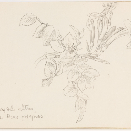 image for: Alexandre de Riquer - Bignoniàcies - 1920