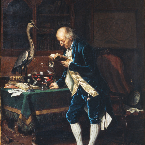 image for: Manuel Amell Jorda - Un naturalista - 1872