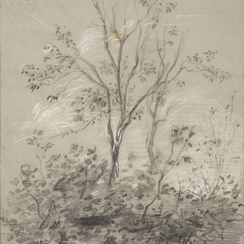 Modest Urgell - Arbres - Cap a 1864 image for: Modest Urgell - Arbres - Cap a 1864