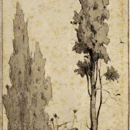 Modest Urgell - Arbres - Cap a 1864 image for: Modest Urgell - Arbres - Cap a 1864