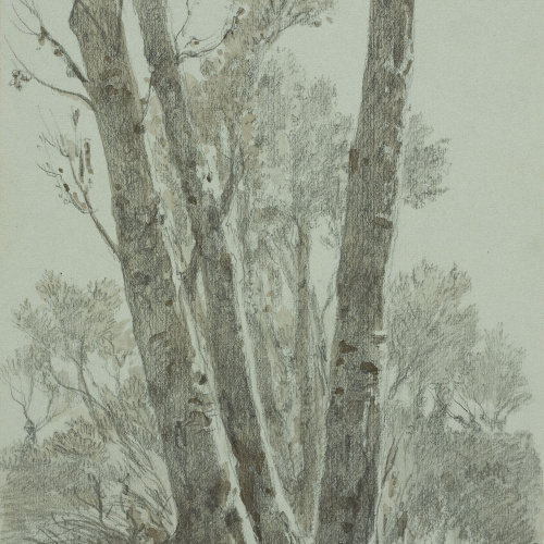 image for: Lluís Rigalt - Paisatge amb arbres - Maig de 1879