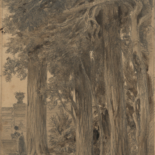 image for: Lluís Rigalt - Jardí amb arbres i dona - Cap a 1860-1870