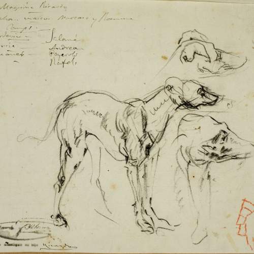 image for: Ramon Martí i Alsina - Estudi de gossos - Cap a 1860-1865