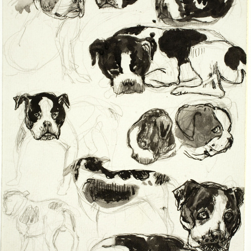 image for: Ismael Smith - Apunts de gossos - Cap a 1905-1915