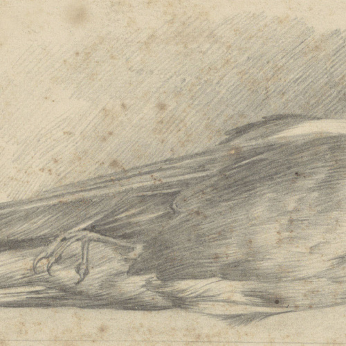 image for: Alexandre de Riquer - Ocell mort - Cap a 1895