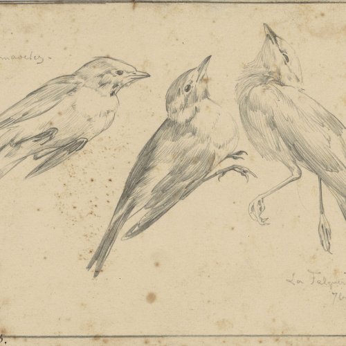 image for: Alexandre de Riquer - Ocells (Primaveres) - 1895