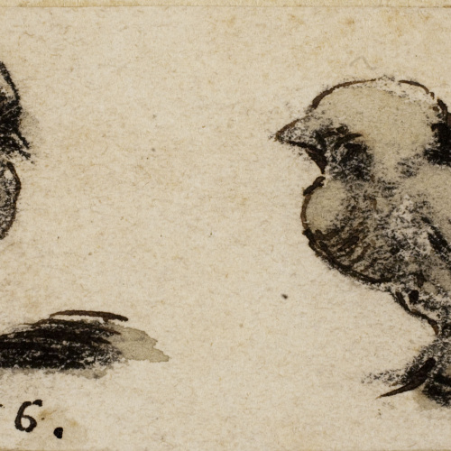 image for: Modest Urgell - Pollets - Cap a 1861-1888