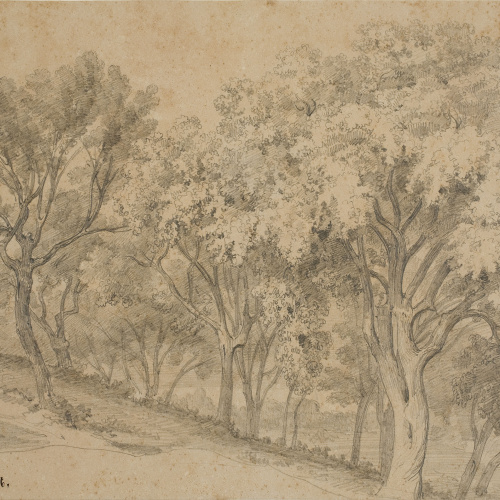 image for: Lluís Rigalt - Caldetas - 1846