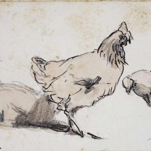 image for: Modest Urgell - Gallines - Cap a 1864