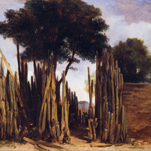 image for: Pelegrí Clavé - Paisatge mexicà (valla de órganos) - Cap a 1846-1868