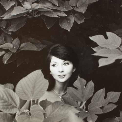 image for: Oriol Maspons - Germaine - 1959