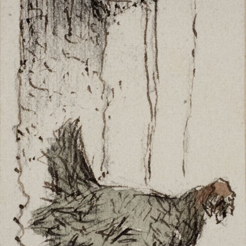 image for: Modest Urgell - Gallina - Cap a 1864