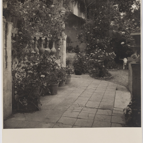image for: Otho Lloyd - Jardí de la casa del Putxet (Barcelona) - Cap a 1948