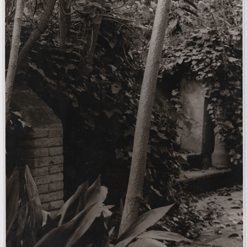 image for: Otho Lloyd - Jardí de la casa del Putxet (Barcelona) - Cap a 1948