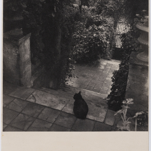 Otho Lloyd - Entrada al meu jardí (Jardí de la casa del Putxet, Barcelona) - Cap a 1945 image for: Otho Lloyd - Entrada al meu jardí (Jardí de la casa del Putxet, Barcelona) - Cap a 1945