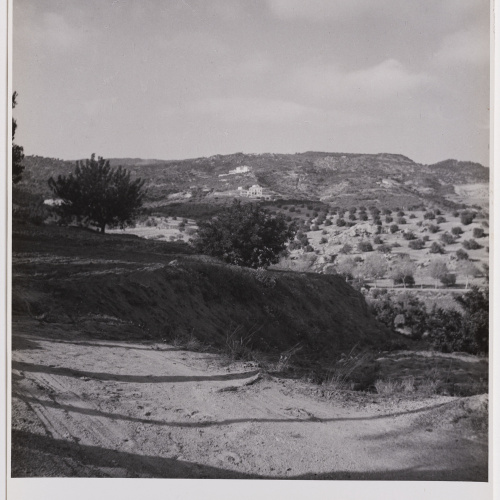 image for: Otho Lloyd - Paisatge - Cap a 1944-1950