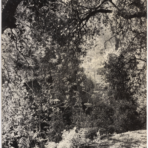 image for: Otho Lloyd - Paisatge - Cap a 1944-1950