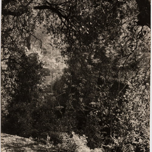 image for: Otho Lloyd - Paisatge - Cap a 1950