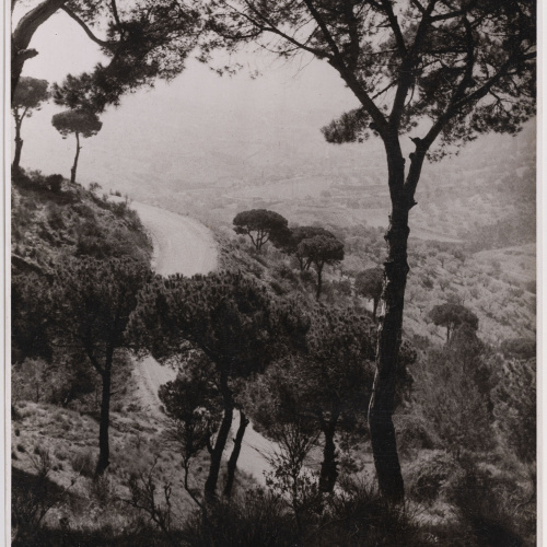 image for: Otho Lloyd - Paisatge - Cap a 1944-1950