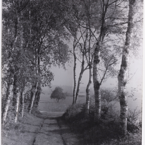 image for: Otho Lloyd - Paisatge - Cap a 1944-1950