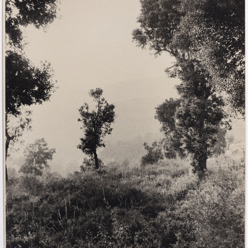 image for: Otho Lloyd - Paisatge - Cap a 1944-1950