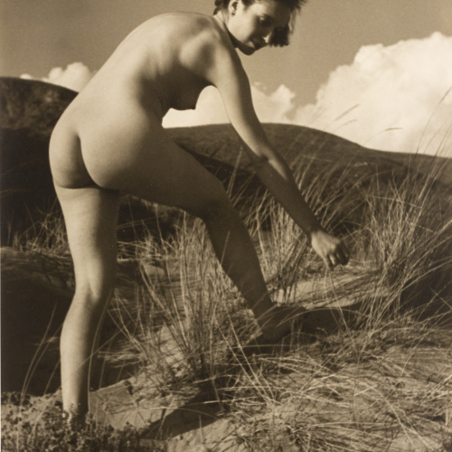 image for: Otho Lloyd - Verano (Desnudo) - Cap a 1944-1950