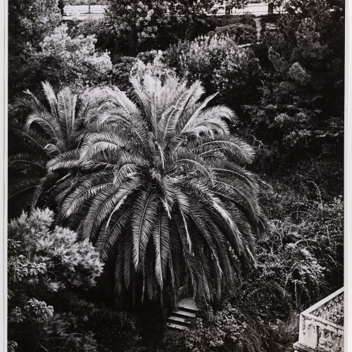 image for: Otho Lloyd - Paisatge - Cap a 1944-1950