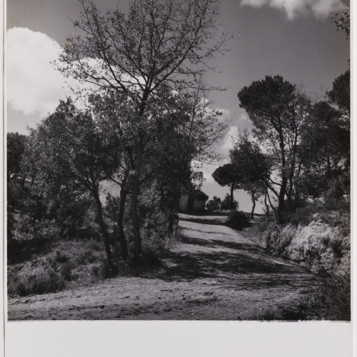 image for: Otho Lloyd - Paisatge - Cap a 1944-1950