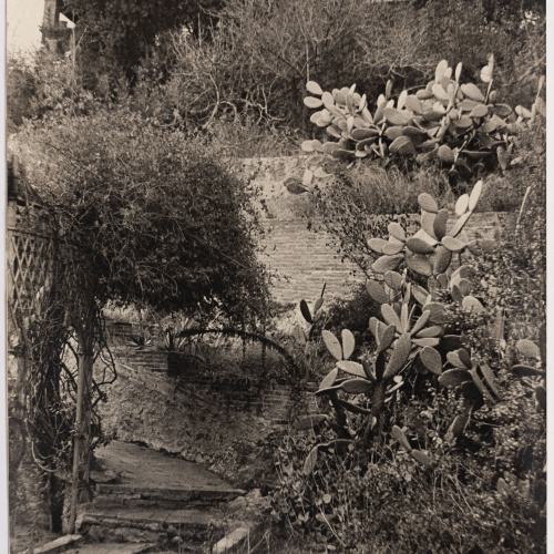 image for: Otho Lloyd - Paisatge - Cap a 1944-1950