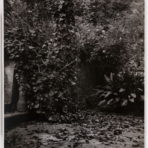 image for: Otho Lloyd - Paisatge - Cap a 1944-1950