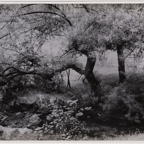 image for: Otho Lloyd - Paisatge - Cap a 1944-1950