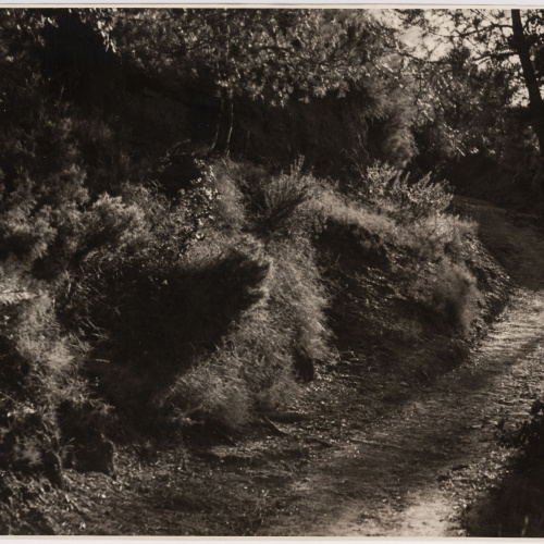 image for: Otho Lloyd - Paisatge - Cap a 1944-1950