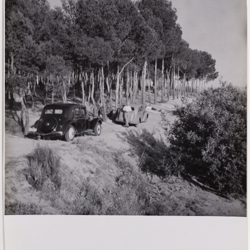 image for: Otho Lloyd - Paisatge - Cap a 1944-1950