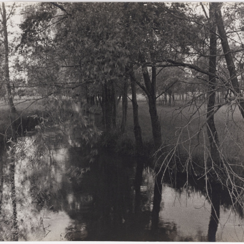 image for: Otho Lloyd - Paisatge - Cap a 1944-1950