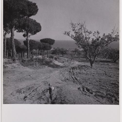 image for: Otho Lloyd - Paisatge - Cap a 1944-1950