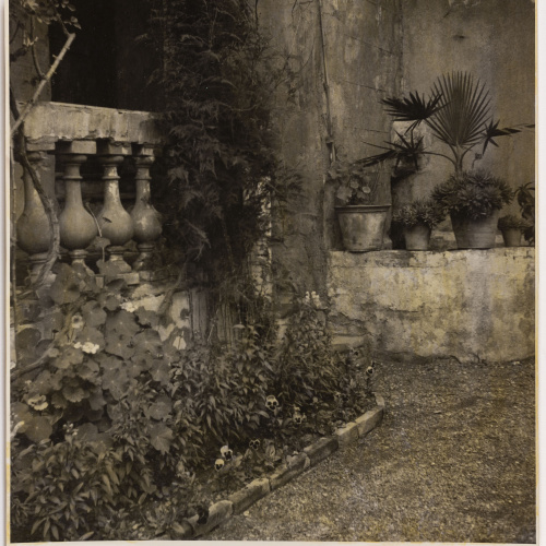 image for: Otho Lloyd - Jardí de la casa del Putxet (Barcelona) - Cap a 1945-1948