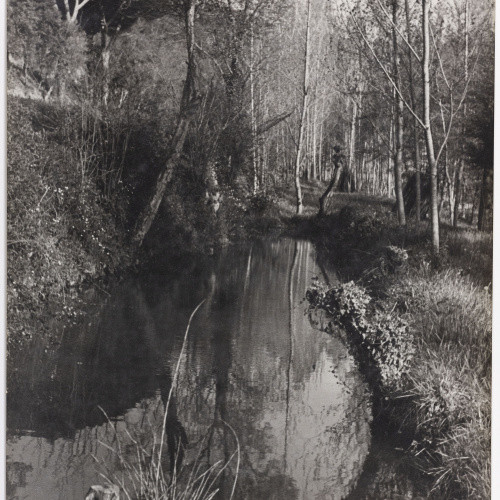 image for: Otho Lloyd - Paisatge - Cap a 1944-1950