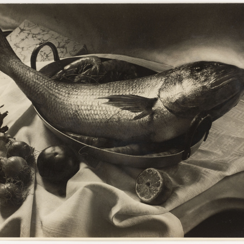 image for: Otho Lloyd - Natura morta - Cap a 1944-1950